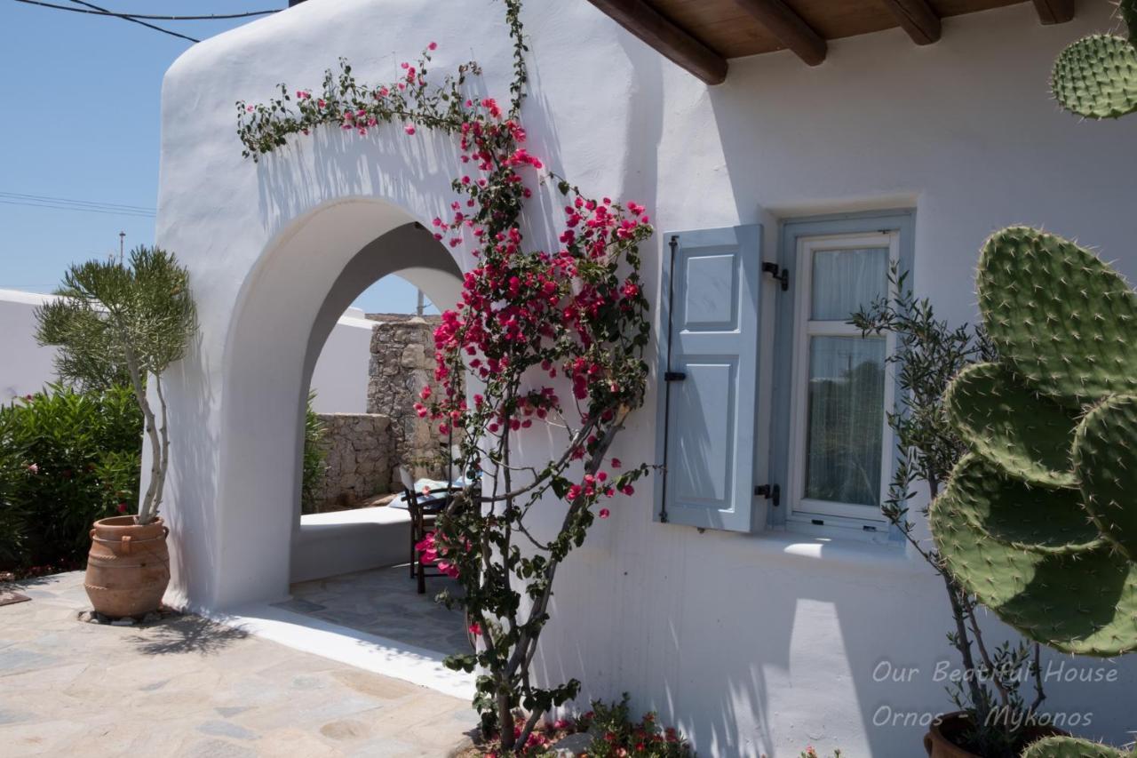 Our Beautiful House In Ornos, Mykonos