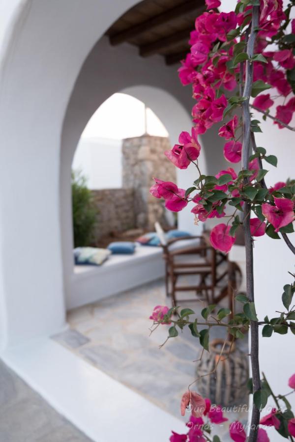 Our Beautiful House In Ornos, Mykonos